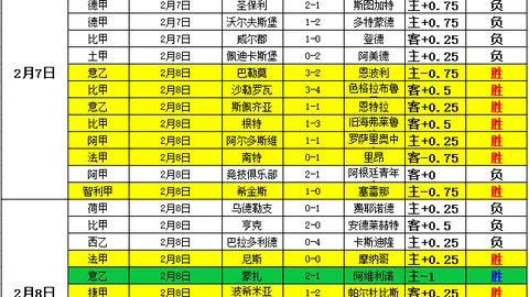 曼城中场传奇费尔南迪尼奥退役，23年辉煌生涯完美收官